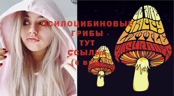 СК Переславль-Залесский